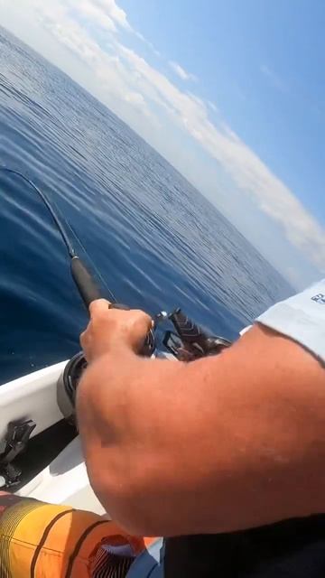 Sharks in the water?? fishing fishpro shark jetski