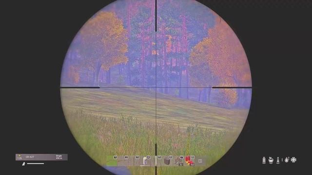DayZ. Новодмитровск - Черно. Последний рейд перед вайпом.