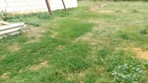 Обзор хозяйства//Новости//Овцы//Кощеевский хуторок.