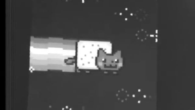 Nyan Cat filmed on my 1974 Sony AVC-3250CE B&W camera