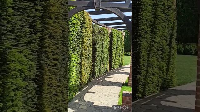 Отличный питомник Розовый сад 🌳🌱🌿🌲☀ #хуторленина #краснодар #розовыйсад