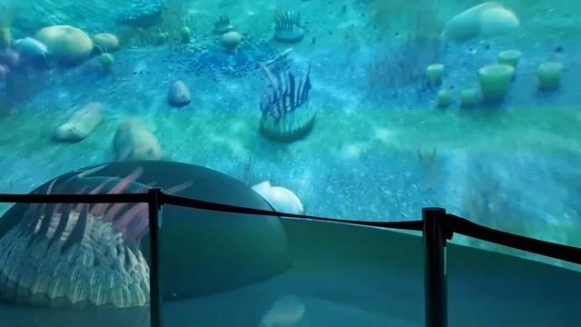 Владивосток океанариум смотреть онлайн