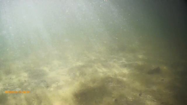 Swimming with the Apexcam 4K Pro EIS смотреть онлайн