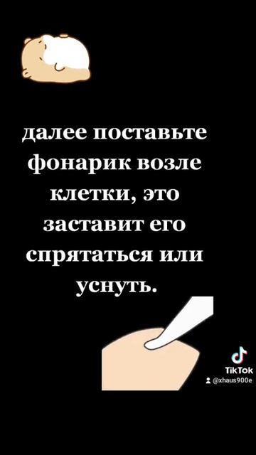 что делать если хомяк мешает спать? смотреть онлайн
