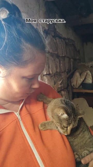 В гостях у Пумы. Кошка бессмертная))) ревнует к собаке. смотреть онлайн