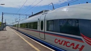 Высокоскоростной поезд Сапсан проезжает станцию Алабушево в Санкт-Петербург (21.05.2024). #train