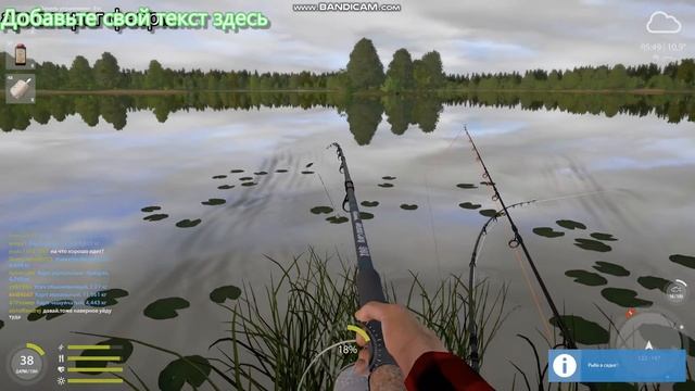 янтарка карп смотреть онлайн