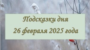 Гороскоп на 26 февраля 2025 года (общий, по показателям дня)