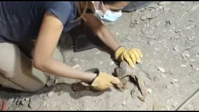 Saludo - Silvia Carretero Gómez (Arqueóloga) смотреть онлайн