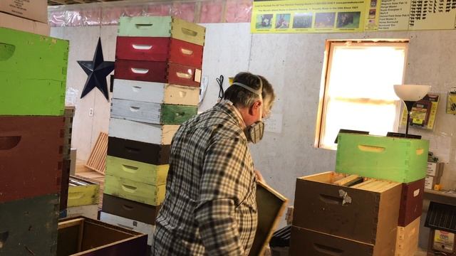 Protecting combs from wax moths