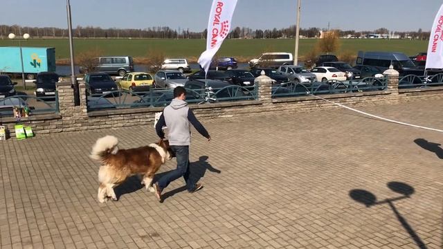 к промежуток смотреть онлайн