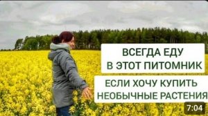 ВСЕГДА ЕДУ В ЭТОТ ПИТОМНИК, ЕСЛИ ХОЧУ КУПИТЬ НЕОБЫЧНЫЕ РАСТЕНИЯ. 10.05.2024г.