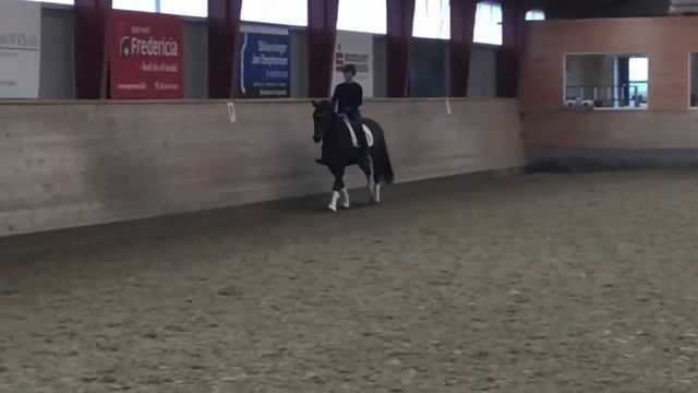 Halgårds Puk смотреть онлайн