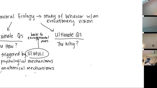 AP Bio Notes - BTs 323
