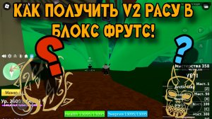 🤖КАК ПОЛУЧИТЬ V2 РАСУ В БЛОКС ФРУТ?🦈