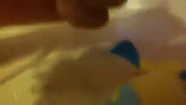 Всевидейщий Сральня смотреть онлайн