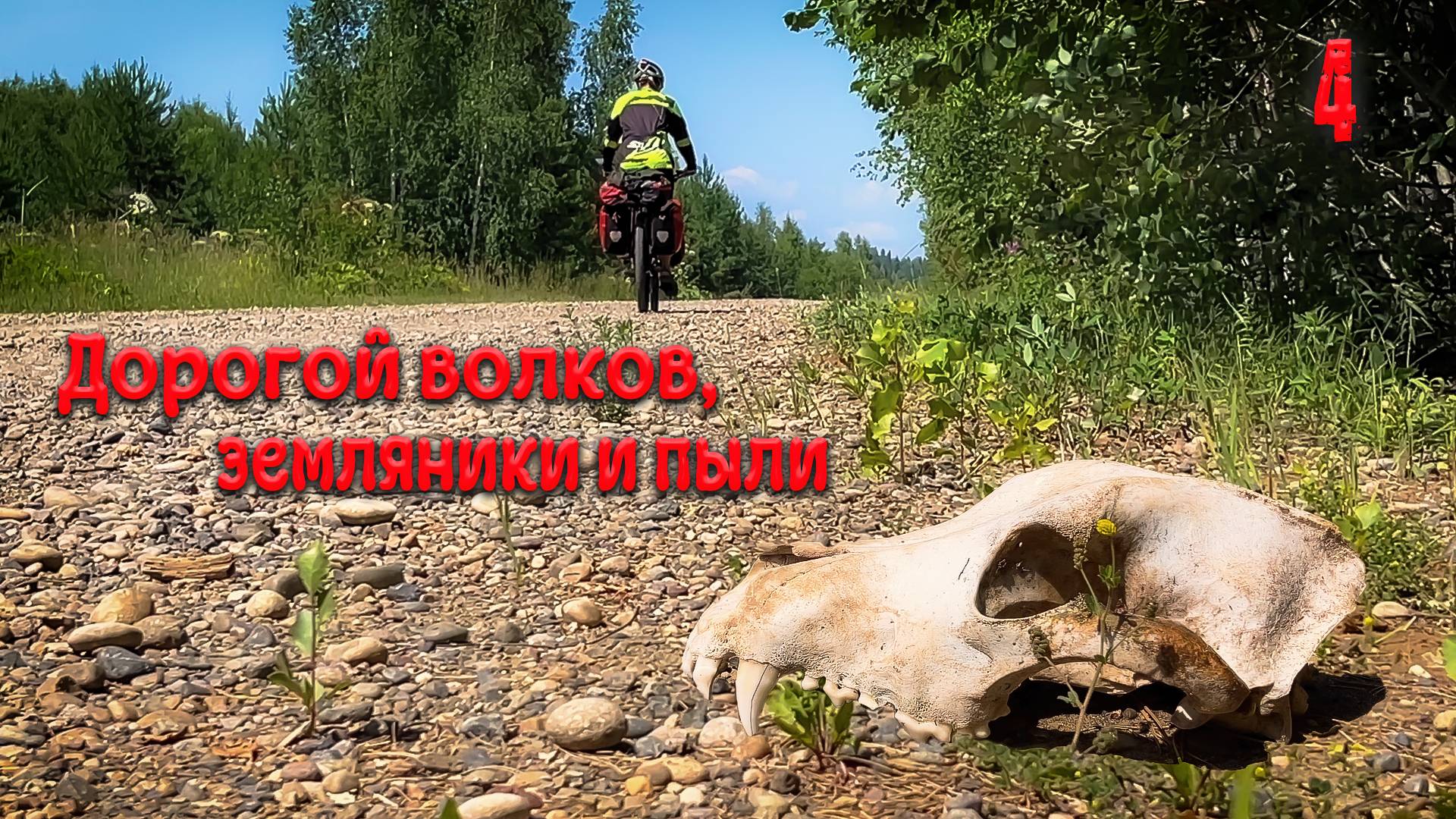 Дорогой волков, земляники и пыли. Четвёртая серия.