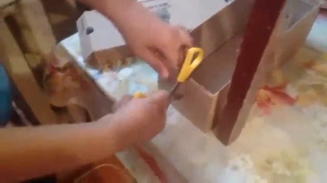 Хомяки #1/ Гонка хомяков! смотреть онлайн