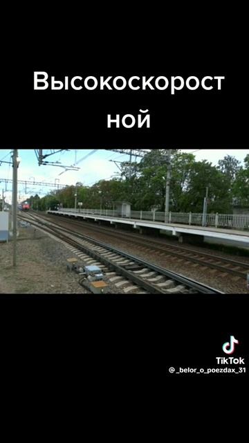 НА пути Высокоскоростной поезд или сапсан.) Подписываемся) смотреть онлайн
