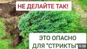ЭТО ОПАСНО ДЛЯ "СТРИКТЫ", НО ДРУГОГО ВЫХОДА НЕТ! 25.04.2024г.
