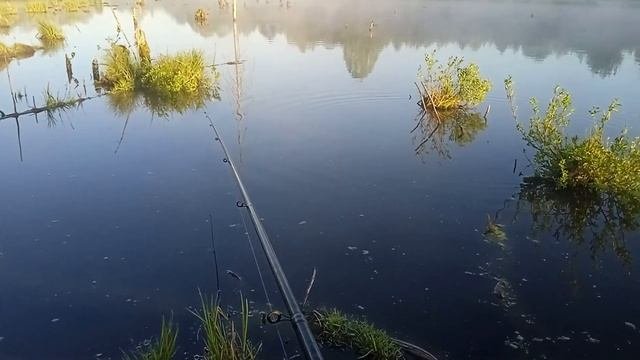 Рыбалка,нерест карася.......