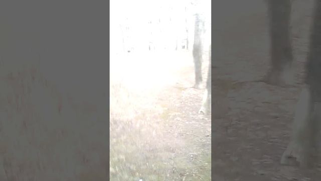 mem чилим на самике смотреть онлайн