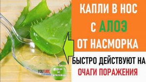 Как избавиться от заложенности носа? Капли Алоэ – творят чудеса.