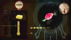 "Наука Голодания" - Гуд бай, Диабет и Астма... / СССР - Россия - Европа - США