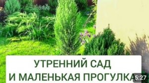 НЕБОЛЬШАЯ ПРОГУЛКА ПО УТРЕННЕМУ САДУ. 21.05.2024г.