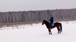 Саша и Аквилон, Олеся и Флейта, рысь в поле. #horse #equestrian #лошади #pony