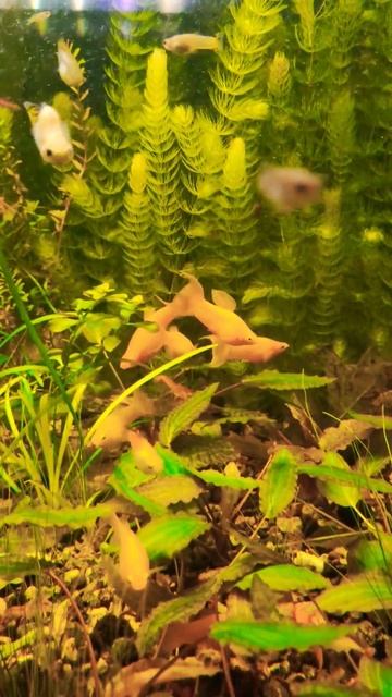 вечер в банке смотреть онлайн