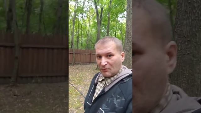 Затерянный мир #shorts #динозавры смотреть онлайн