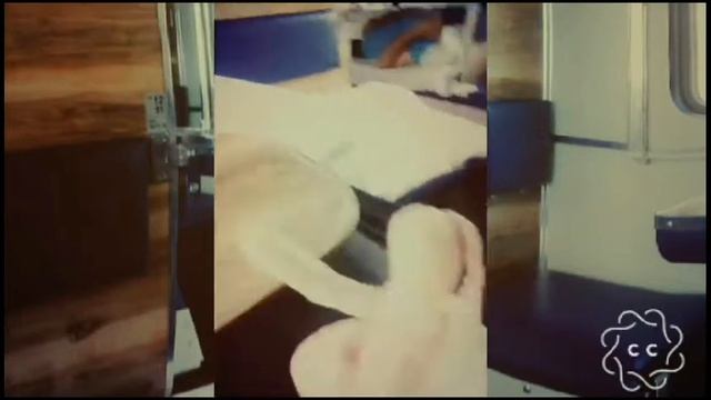 Заяц Танцор смотреть онлайн