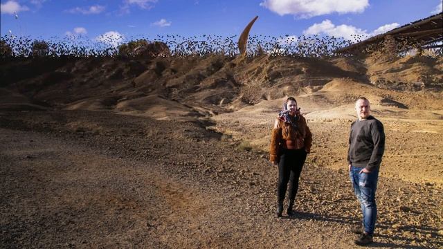 Махтеш Рамон Ферма Альпак 2 02 2024 смотреть онлайн