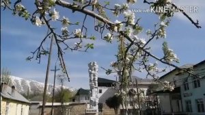 Ашти ман