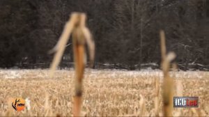 Coyote Hunting "Working The Storm"