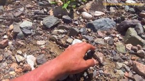 Какие то старые монеты 1729 года и золотые камни