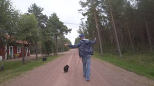 Агрессивный шпиц из Финляндии (Часть 2)
