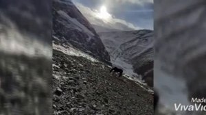 Село. Курдул 🤗🤗🤗