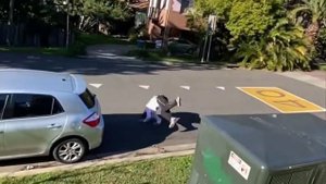 domtomato the hombre asombroso