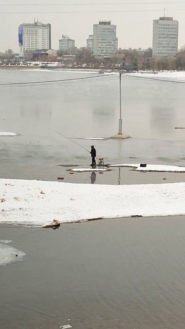 Рыбалка рядом ! 🐬🦈🦆
