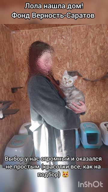 Лола дома #саратов #вдобрыерукисаратов #верностьсаратов