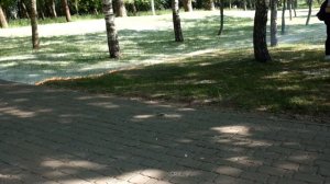 Тополиный пух горит