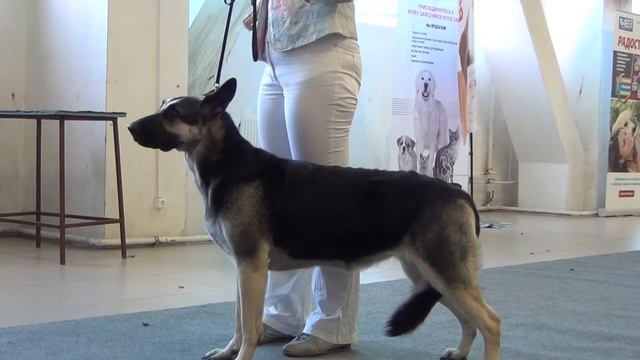 20140817151044 11 смотреть онлайн