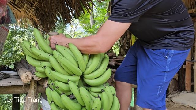 Harvesting giant banana bunches - Catching clams in the pond - Cooking delicious Mussel Porridge