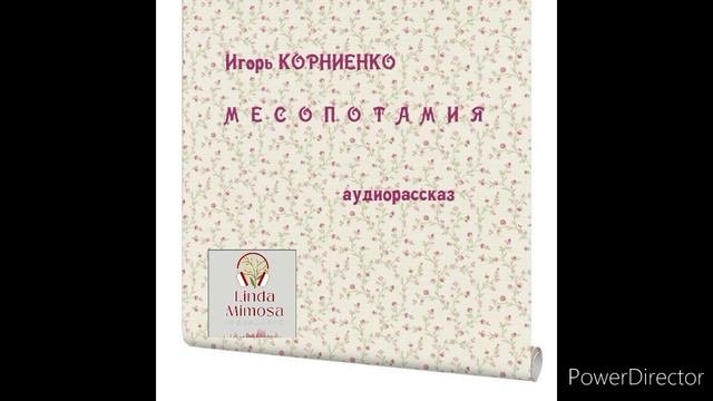 Аудиорассказ 