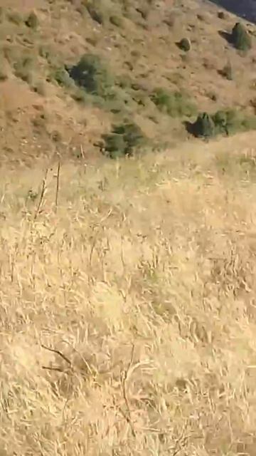 Өгем тауы(2) смотреть онлайн