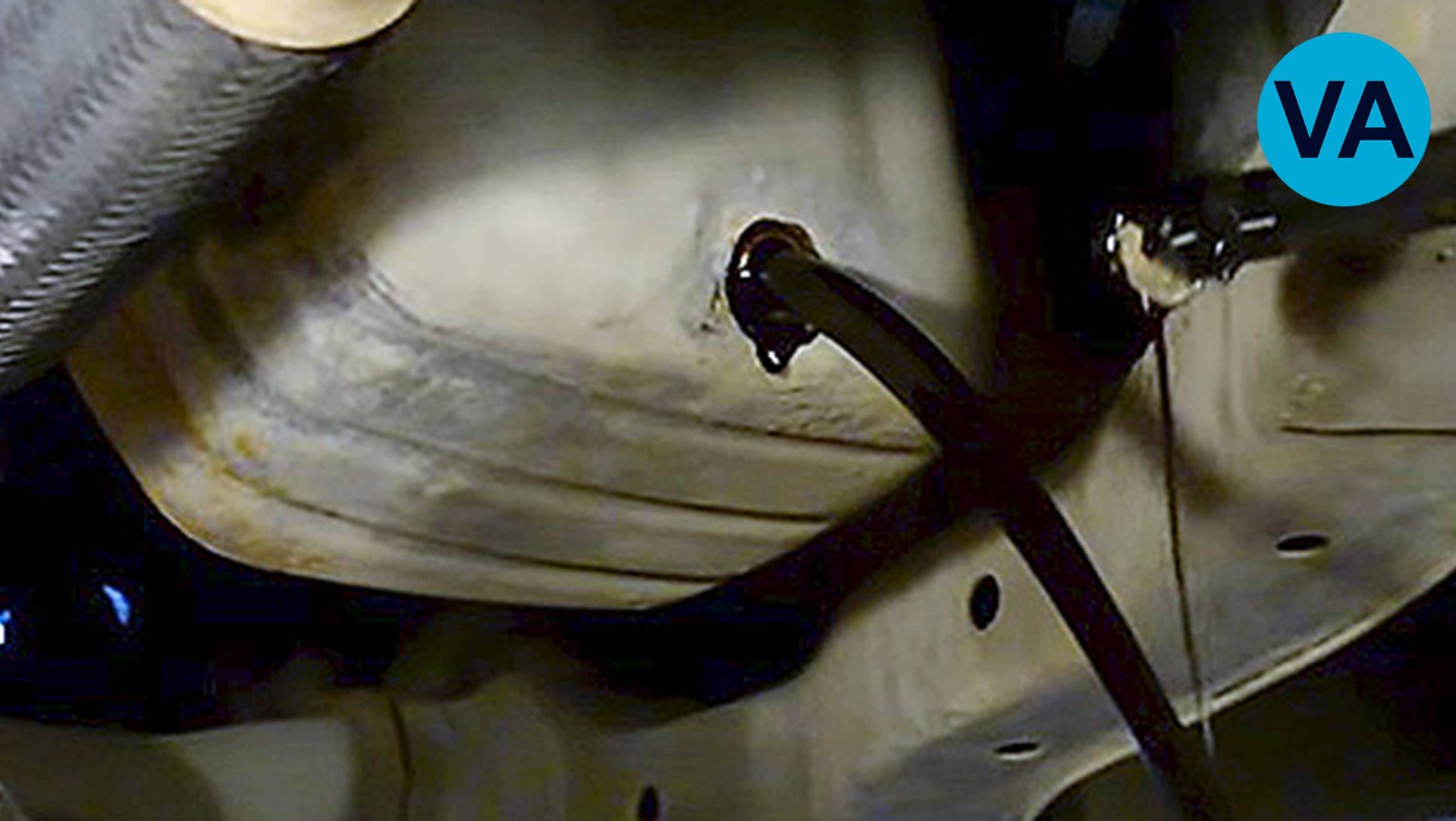 ПРО СовременныЕ МАСЛА