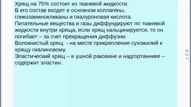 Виоргон №1 и кости смотреть онлайн