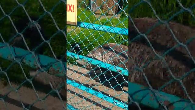 В Больширечье часть 5